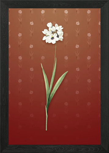 Quadro stampa tela poster - quadro,
