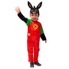 Bing Coniglietto Costume