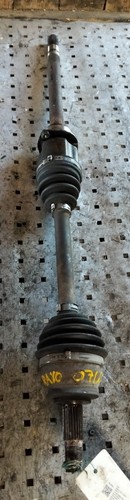 51795511 semialbero ant - 51795511,