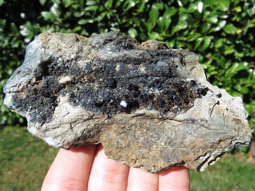 Minerali storica vesuviana - minerali,