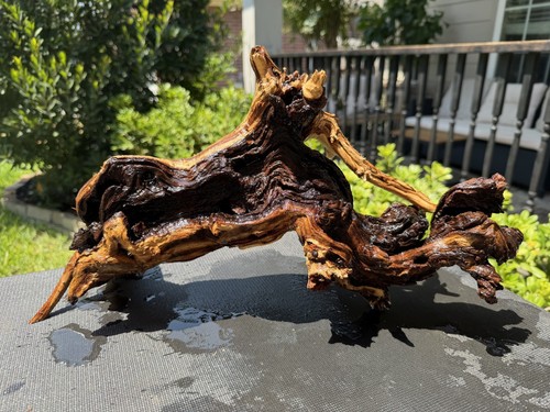 Driftwood mopani acquari pesci - mopani,