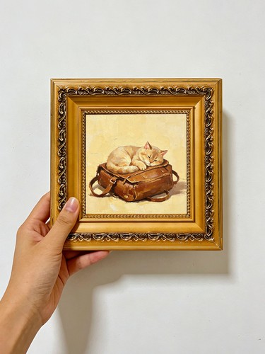 Gattino arancione sacco - , a