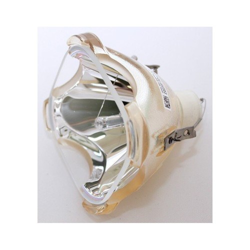 Compatibile con lampadine