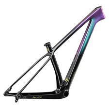 Carbon XC MTB 29in UDH Hanger