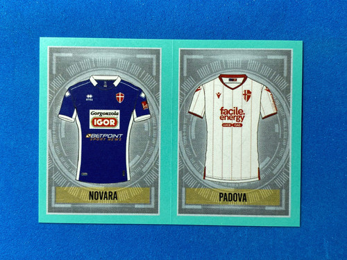 Figurine calciatori panini - figurine,