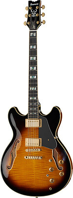 Ibanez chitarra semiacustica