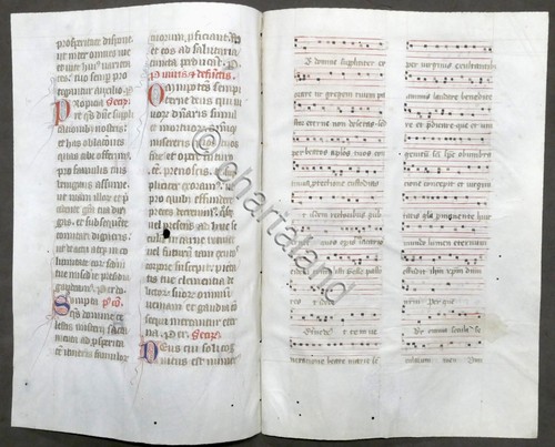 Pagine antifonario - 2, da
