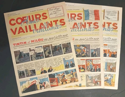 Coeurs vaillants lot - coeurs,