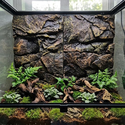 Sfondo per acquario - sfondo,
