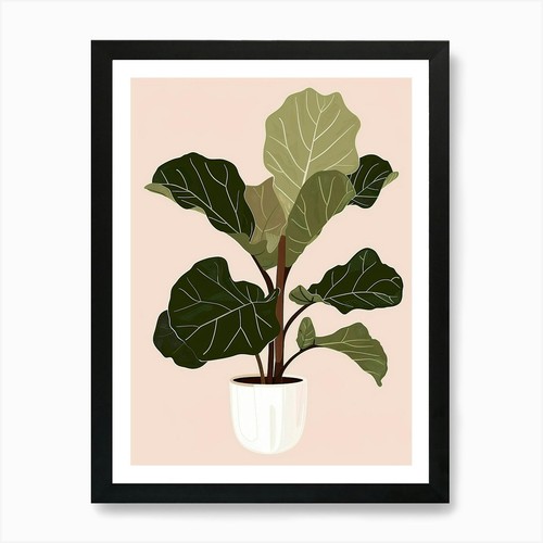 Stampa artistica pianta feijoa - stampa,