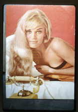 Connie Mason - 1963 Miss June
