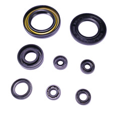 Kit guarnizioni motore per