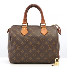 Borsa a mano Louis Vuitton LV