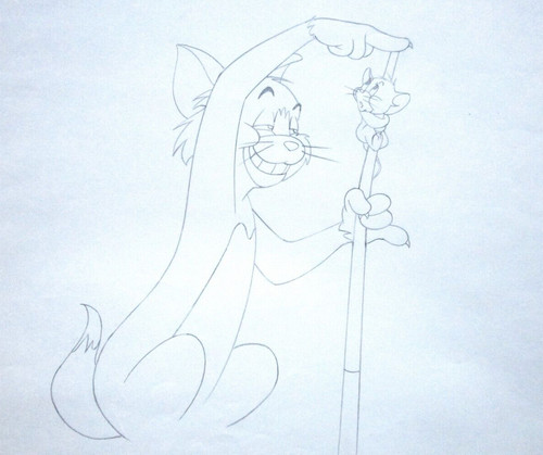 Tom and jerry 1992 piscina - and,