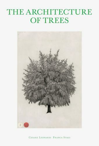 The architecture trees - of,