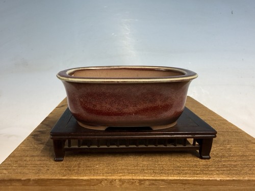 Bellissimo vaso per - , bonsai