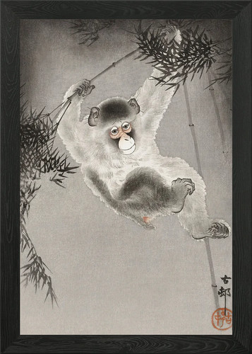 Quadro stampa tela poster - stampa,