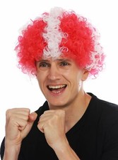 Parrucca carnevale afro - parrucca,