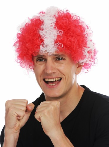Parrucca carnevale afro - parrucca,