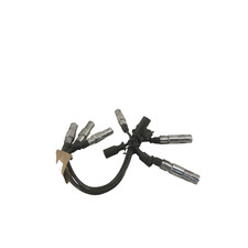 0003023V004/1601590118 CAVI