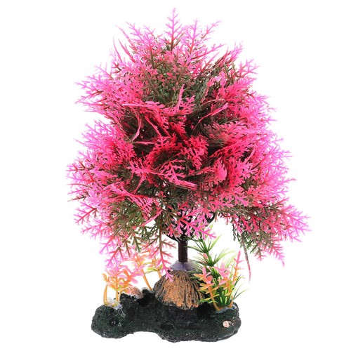 Decorazione acquario piante - decorazione,
