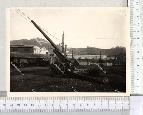 Lia cannone ansaldo - cannone,