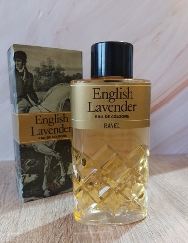 Lavanda inglese ravel - lavanda,