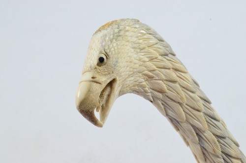 Aquila calva cervo intagliato