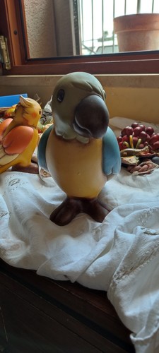 Thun pappagallo tucano - thun,