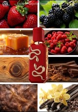 Veneno Scarlet French Avenue