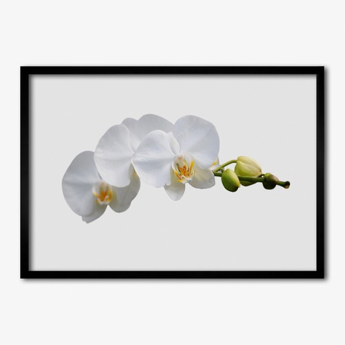 Arte parete con cornice - parete,