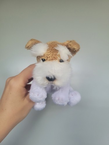 Suki fox terrier - fox,