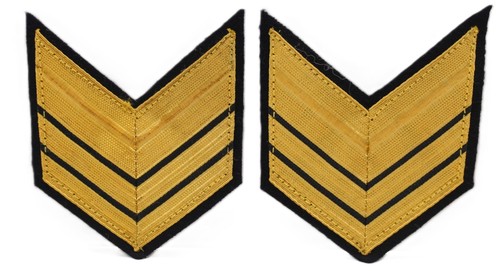 Gradi divisa militare - gradi,