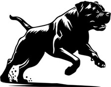  Adesivo CANE CORSO adesivo