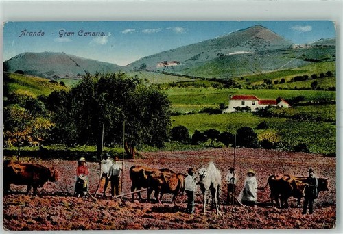 Las palmas gran - palmas,