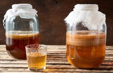 SCOBY KOMBUCHA, STARTER ED