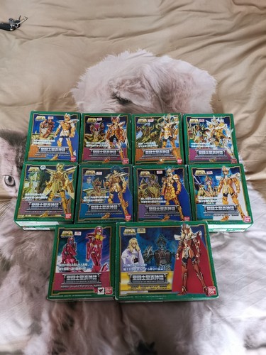 Saint seiya lotto - seiya, oggetti