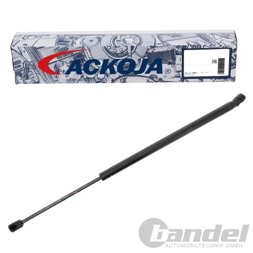 Molle gas ackoja sollevatore - gas,