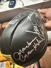 Everlast Boxing Speed Bag