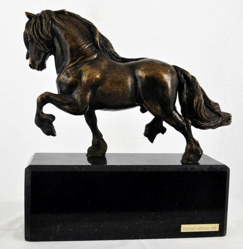 Cavallo frisone testa - frisone, di
