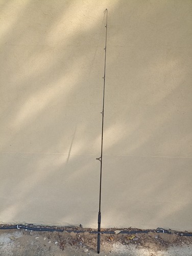 Canna pesca silstar - canna,