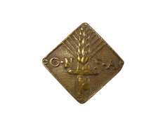 Fregio distintivo spilla - fregio,