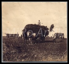 Foto, eroi, contadini presso