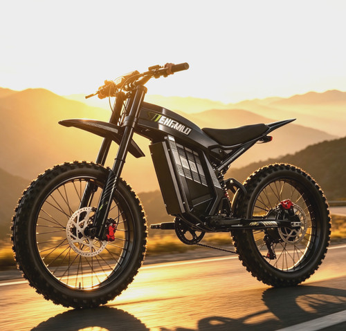 Bici elettrica long range - elettrica,