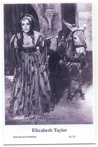 Elizabeth taylor swiftsure - elizabeth,