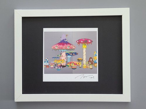 Takashi murakami fantastica - murakami,