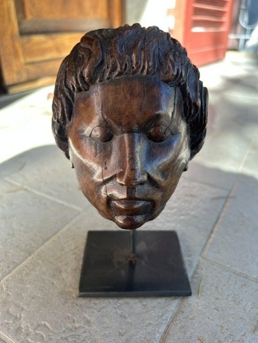Antica testa legno haute - legno,