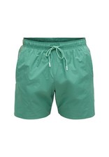 Boss Men's Boxer Swimsuit