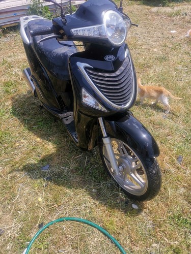Motors - wt,