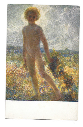 Cartolina illustrata plinio - illustrata,